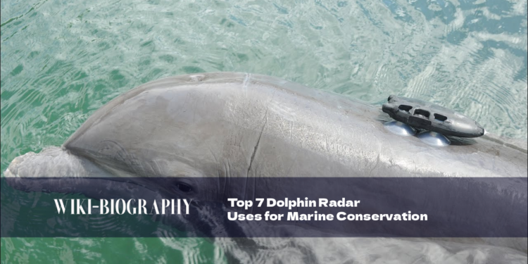 Dolphin radar