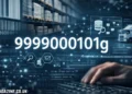 99999000101g