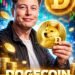 Elon Musk Dogecoin