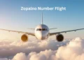 How to Track Your Zopalno Number Flight in 2025Positive 23 Zopalno Number Flight