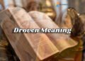 “Droven Meaning Explained: Everything You Need to Know” 24 Droven meaning