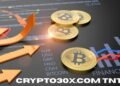 Crypto30x.com TNT