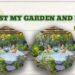 10 Latest MyGarden AndPatio Ideas You’ll Love 2 Latest MyGarden AndPatio