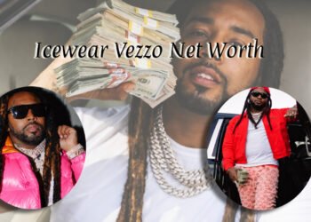 Icewear Vezzo Net Worth
